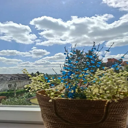 Gyoengyver Koezpontjanal * Фоньод